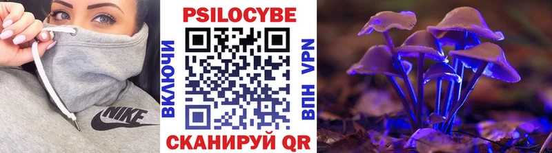 Галлюциногенные грибы GOLDEN TEACHER  Купить закладки  Лодейное Поле 