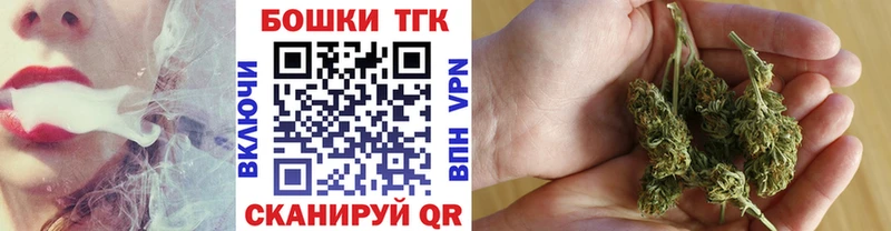 Купить закладки  Лодейное Поле  Шишки марихуана индика 